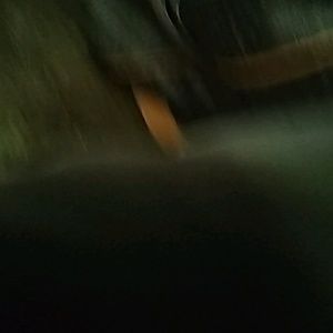 Meet your Posher, Shanelle